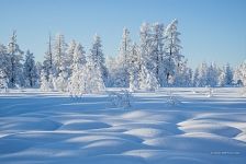 Камчатка зимой Камчатка зимой