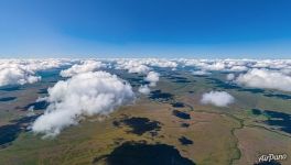 Предуральская степь Предуральская степь