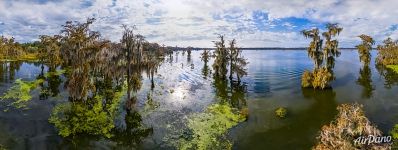 Солнечный день на озере в Луизианне