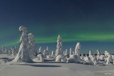 Сказочный лес Кунтиваара и северное сияние Сказочный лес Кунтиваара и северное сияние
