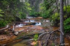 Пороги на ручье Кислый Пороги на ручье Кислый