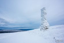 Одинокий столб Одинокий столб