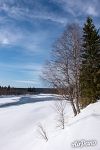 Река Печора, Шежим-Печорский кордон 4 Река Печора, Шежим-Печорский кордон 4